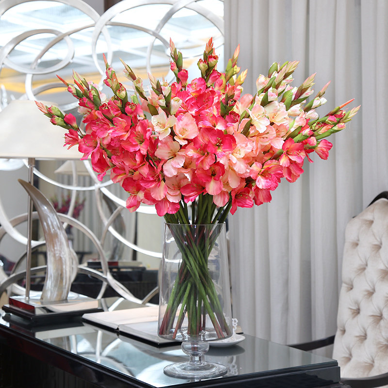 ֪����԰�߷��滨JL-006