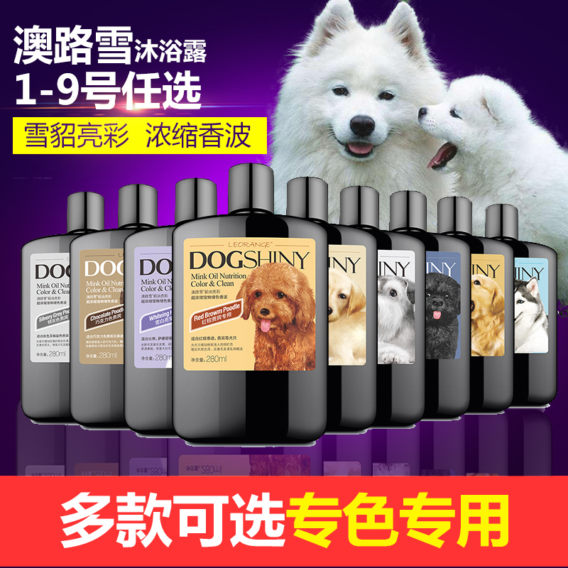 澳路雪狗狗沐浴露貂油亮彩香波抗菌除螨泰迪金毛增色香波浴液包邮
