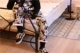 Phim hoạt hình châu Âu và Mỹ retro Phong cách Harajuku xu hướng Mỹ nhảy đường phố vài chiếc quần nhà nam và nữ thoải mái