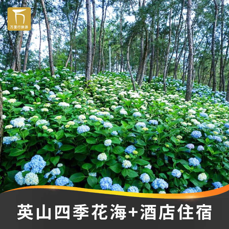 英山四季花海门票 景区内九龙湾 养心苑酒店 华美达住宿套餐