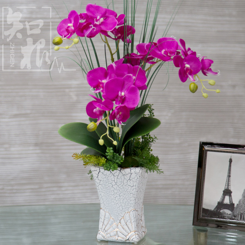 ֪���߷��滨��������TZ-372