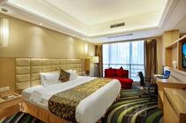  Shenzhen Zhongnan Haiyi Hotel Executive King Room