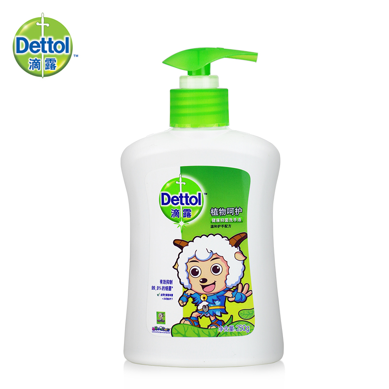 Dettol/滴露 健康洗手液 消毒抑菌倍润洗手液植物呵护250克/瓶