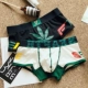 Chất liệu cotton nam Boxer Tóm tắt Thanh niên Cotton Cá tính Maple Leaf Quần short gợi cảm Đầu thấp Quần bó Quần thể thao lọt khe nam Võ sĩ quyền Anh