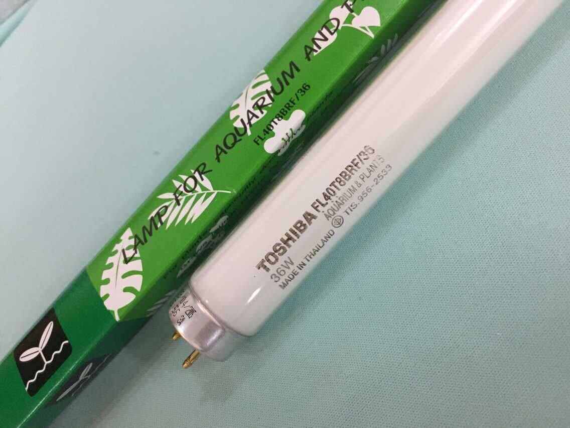 Original IMPORTED TOSHIBA CRYOGENIC LIGHT FL40T8BRF 36 COLD FRESH MEAT CABINET SPECIAL LAMP REFRIGERATED CABINET