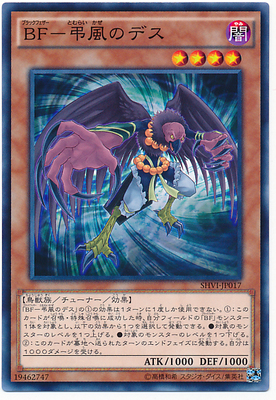 N Pinka Black Feather - Hanghai Dash 908