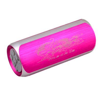 Beauty Chic MP3 Mini Sports Bike MP3 Morning Practice Portable Speaker Metal Radio Out of Sound Card