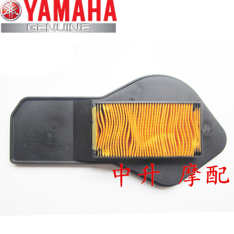 Zhuzhou Mountain Ye ZY125T-3 LiEagle 125 Original AIR FILTER CARTRIDGE ORIGINAL PLANT