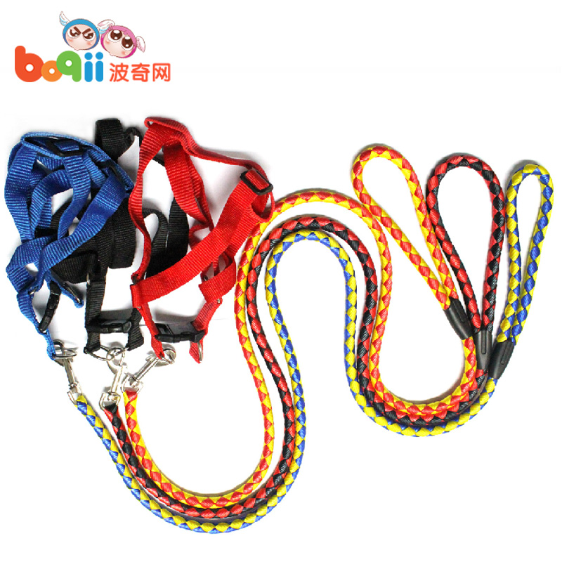 波奇网 宠物用品涤纶亮彩牵引绳+胸背带遛狗绳遛狗 萨摩狗绳