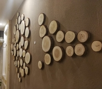 Kindergarten diy graffiti painting painting background wall stickers Decorative tree pieces Original ecological leather pine round wood pieces