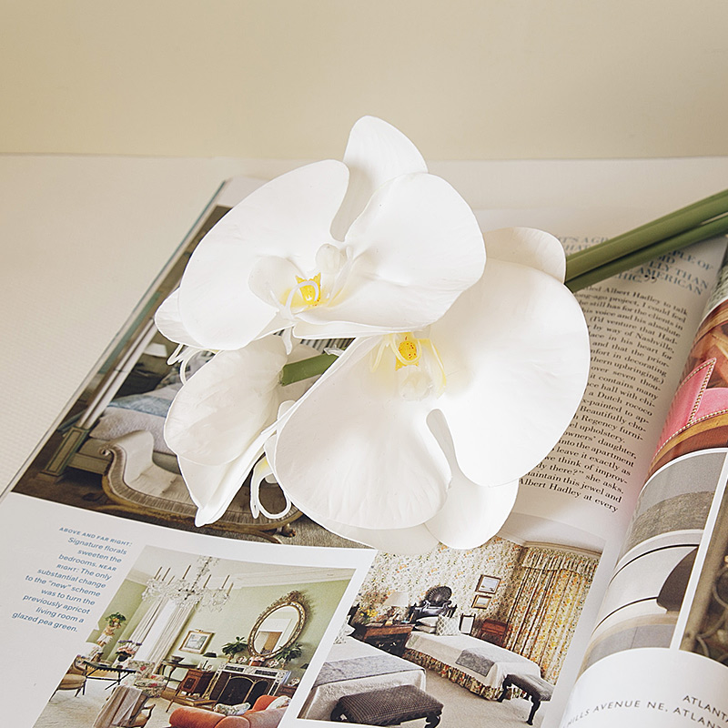 ��ɺ�������������滨F643