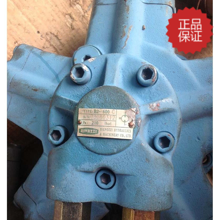 Original RIVAZZI oil-plastic oil motor B2-600 displacement can replace Interm oil motor sales