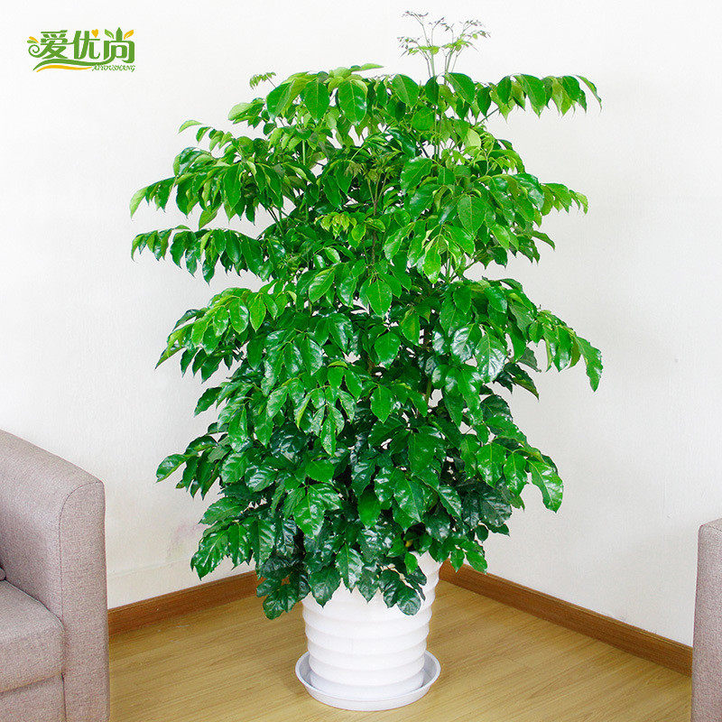 �������Ҹ������Դ��Ҹ�������