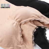 Mu Yanghua đồ lót thân nhiệt cộng với áo nhung dày với cúp ngực cúp ngực cổ chữ V gợi cảm áo sơ mi nữ đồ lót nam