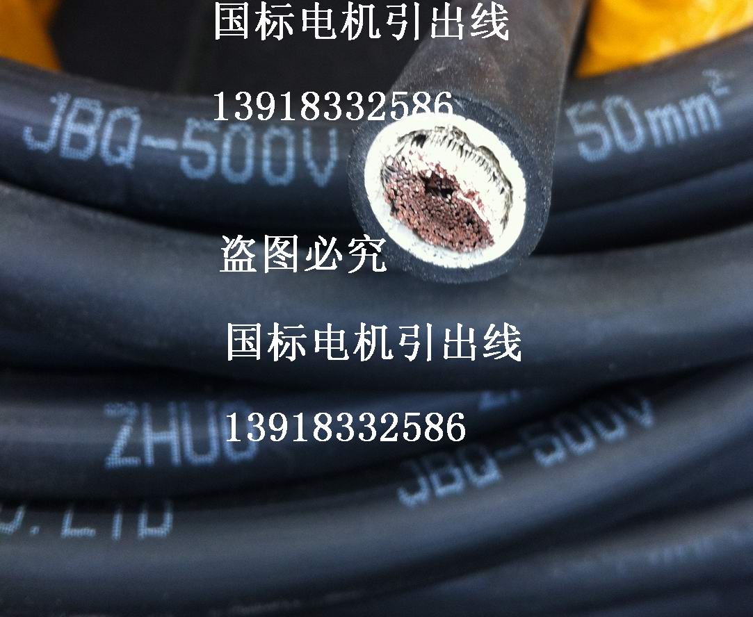 National Label pure copper core tinned motor with lead wire 50 square motor elicited line JBQ50 squared JXN50mm-Taobao