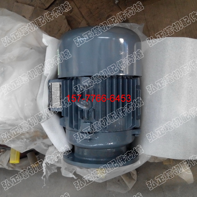 Tower accessories Electromagnetic brake variable motor YDEJ 2 3 3KW flat key Weifang factory