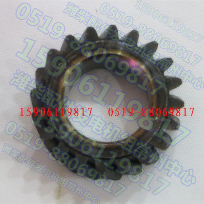 Weifang Weifang Weifang Huafeng diesel engine accessories spindle gear 49541004102 Changling Leong