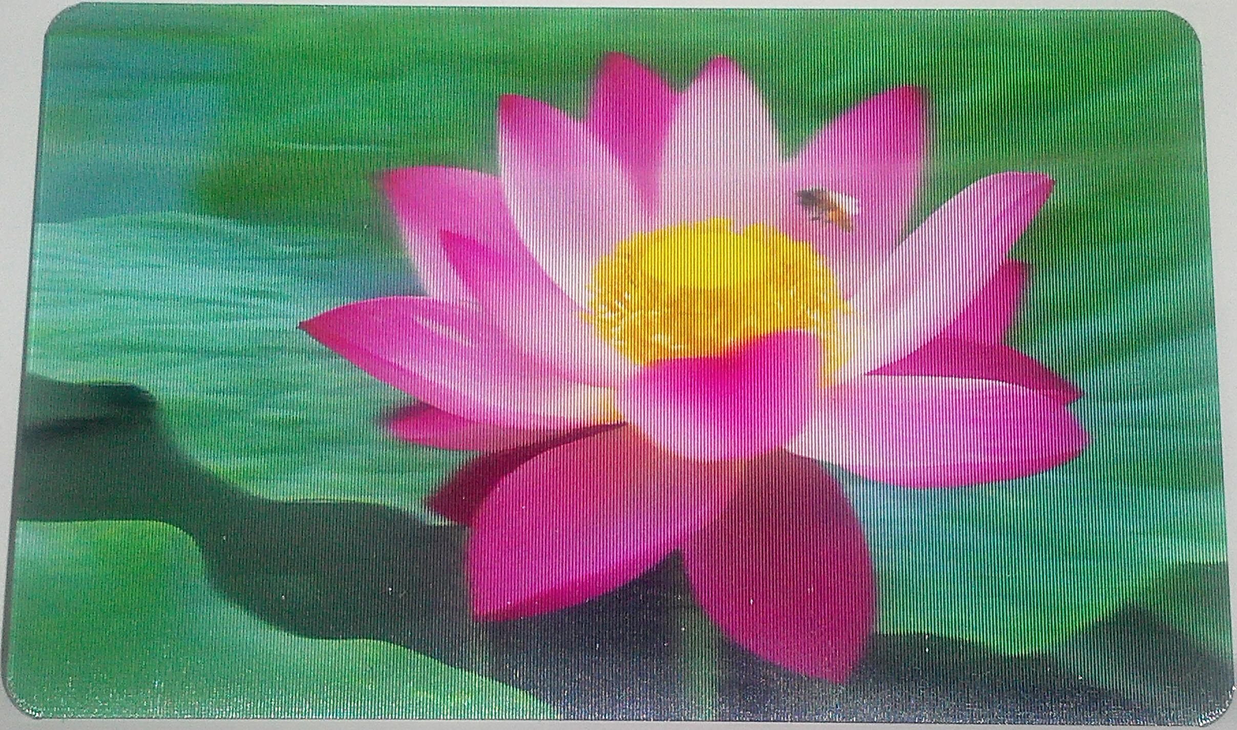 Hot selling lotus landscape painting 3D three-dimensional business card 3D raster card 46 yuan 100 small number of student homework customization
