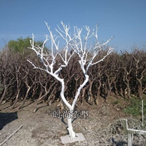 Custom decoration dead tree natural shape dead tree spray white dry branch photography props tree solid wood dry branch decoration fake tree
