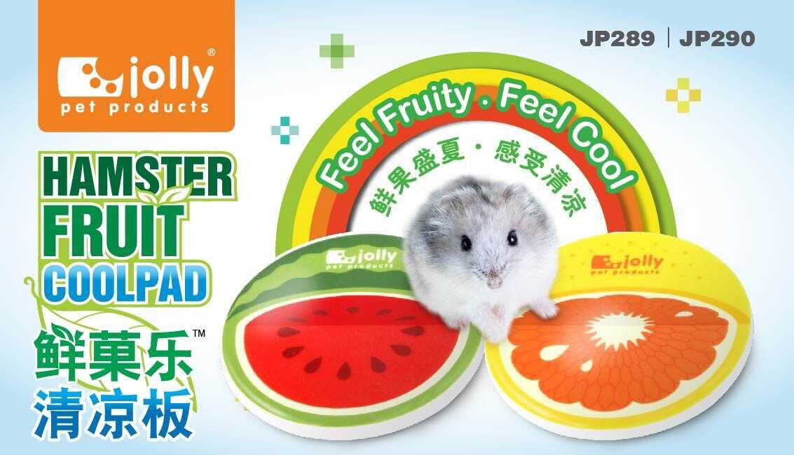 Hamster Cooling Board Hamster Cooling Board Hamster Cooling Board Hamster Cooling Supplies Watermelon Grapefruit