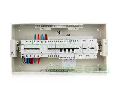 Schneider installed home improvement 20-circuit with overvoltage lightning protection package Professional Ideal solution