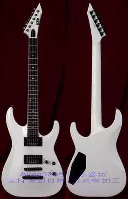Customized ESPs-HORIZON SERIES1 electric guitar AQ35
