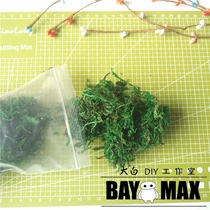 Simulation of Moss grass pseudo Moss simulation of green plants floral materials resin soil ultra-light clay soft pottery