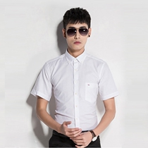 Summer mens Oxford cotton short-sleeved shirt Mens business slim-fit casual solid color shirt Trendy mens half-sleeved shirt