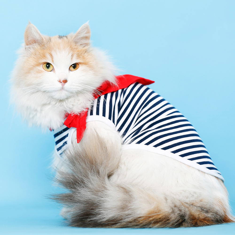 猫咪衣服春夏装休闲装小猫两脚装宠物服饰猫咪海魂衫小猫背心T恤
