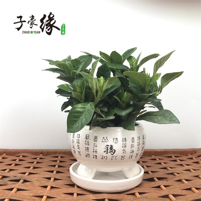 �Ӻ�Ե��������