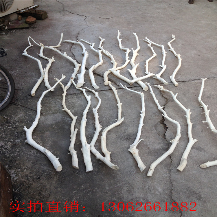 Peeled dry branches Logs dry branches Dead branches Dead branches Trunk art ornaments modeling hangers Natural branch decoration