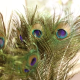 Симуляция павлина перья моделирование цветочный фальшивый цветок шелк цветок дома украшения гостиной обеденный стол полет сухой цветок