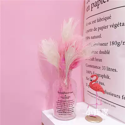ins girl heart bedroom dreamy pink peacock feather glass bottle decoration net red shop room decoration