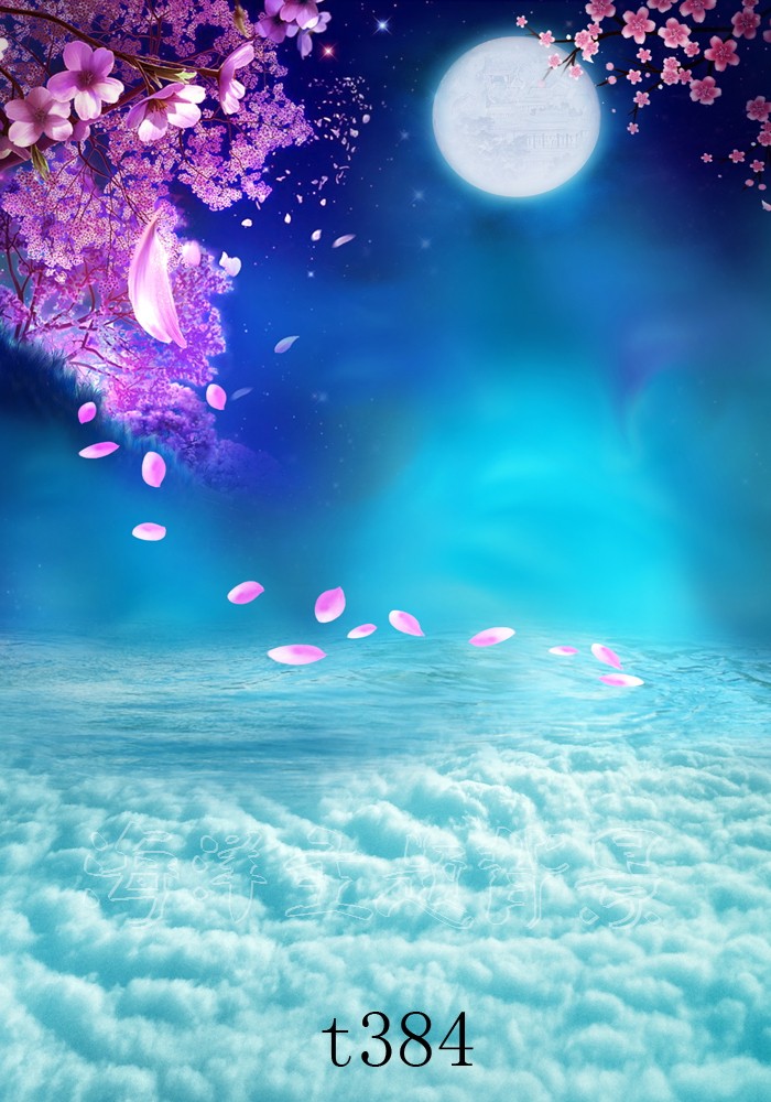 Webcast background cloth YY anchor Kuaishou background cloth Ancient style clothing room photo background cloth live broadcast background cloth