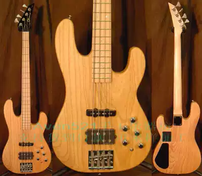 Customized charvel-sdbassash Alder Electric Beth