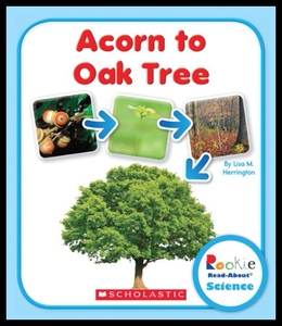 【预售】Acorn to Oak Tree