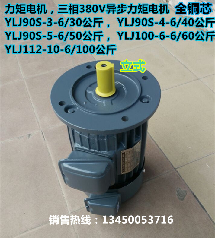Three-phase moment motor YLJ80 90100112132 all-copper AC vertical moment motor 380V6 pole