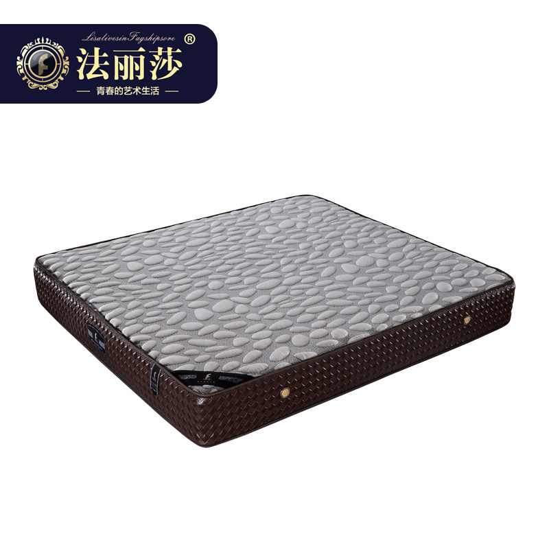 ����ɯ�Ҿ߰�Ħ��֯�ݴ���ZT1501