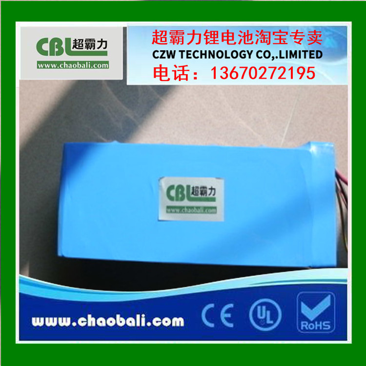 24V/Japan/Panasonic/Sanyo/Sony/Yamaha/Bridgestone/E-Bike/Lithium Battery/Without Shell