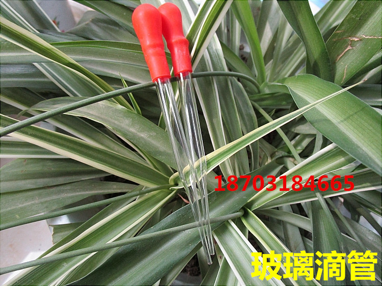 带胶头吸管 玻璃滴管 吸水管 分装液体香水精油吸管 实验滴管