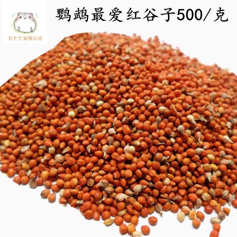High-quality selection of shell red millet parrot bird pearl bird food 500g Jiangsu, Zhejiang, Shanghai, Shandong and Anhui 10kg