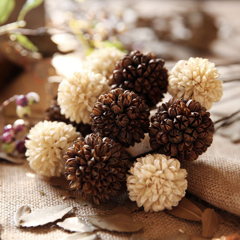 �ԡ�ױ����С���»���ɻ�