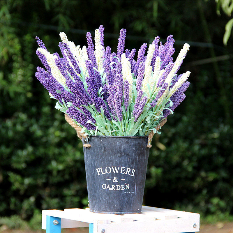 ����д����滨�У�Ѭ�²�