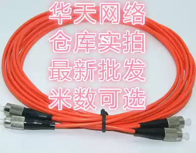 Datang Telecom FC-FC Multimode Fiber Optic Patchline Datang Telecom FC-FC Multimode 3 m Fiber Optic Patchline