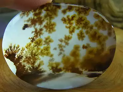 Fine grass flower picture agate Madagascar agate pasta stone Marine chalcedony flower HFJ