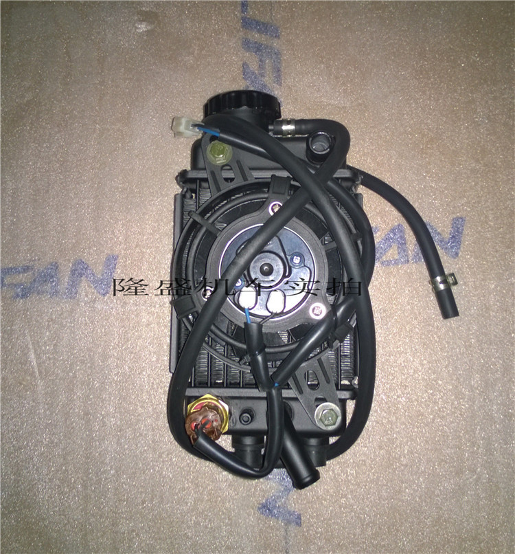 Lifan Motorcycle KP150 KPR150 LF150-10B LF150-10S Radiator Water Tank