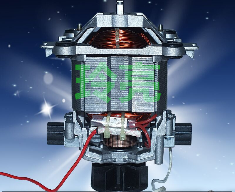 Wanzhu Q10Q9Q8 Commercial milk motor