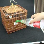 Water Adder Bird Portable Filler Bird Bird Cung cấp vật nuôi Birdcage Phụ kiện Pet Pet Filler - Chim & Chăm sóc chim Supplies lồng chim