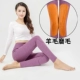 Quần nữ Qiuku Kneepad Quần ấm Quần cotton Quần len Quần cotton Quần đơn Quần cao Eo Quần Phụ Nữ Mặc quần giữ nhiệt nam trung niên đẹp Quần nóng lên