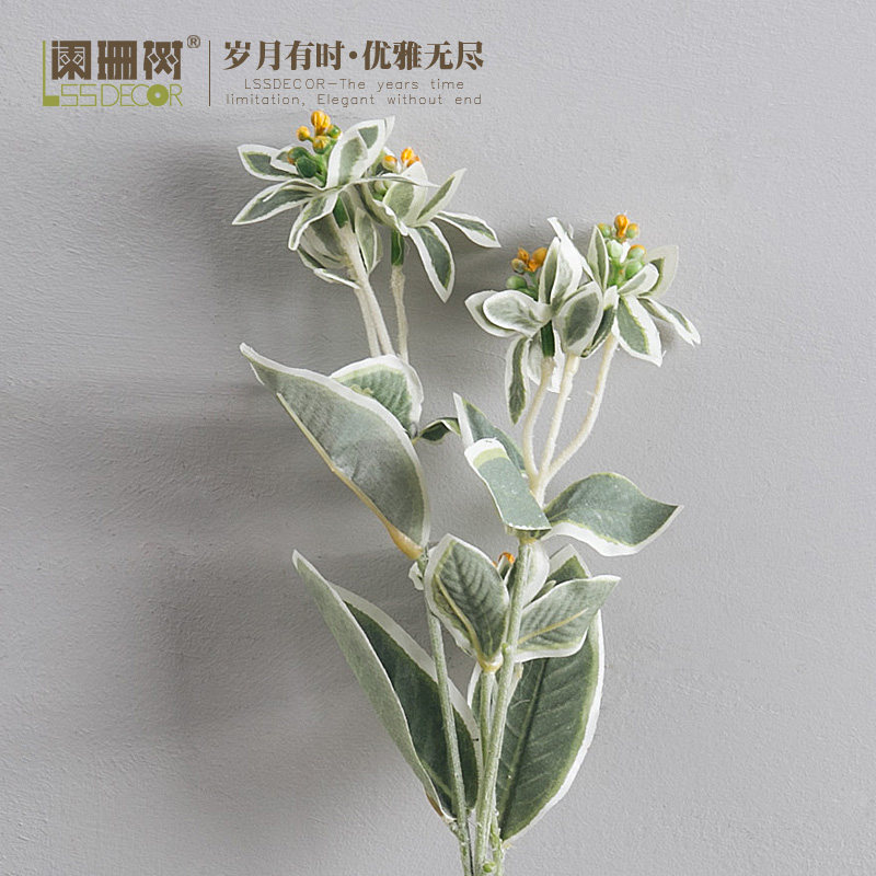 ��ɺ����Ʒװ�λ�F620